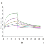 Human Fc gamma RIIIA/CD16a (V176) Protein BP005405 Syd Labs