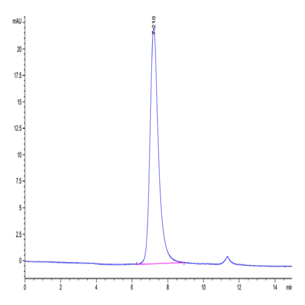 Biotinylated Human Fc gamma RIIIA/CD16a (V176) Protein (FCR-HM43AB)