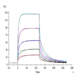 Mouse Fc gamma RIV/CD16-2 Protein BP004497 Syd Labs