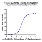 Cynomolgus FGFR2 beta (IIIb) Protein BP005235 Syd Labs