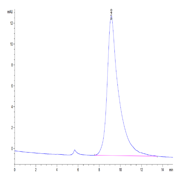 Cynomolgus FGFR2 beta (IIIb) Protein (FGF-CM1BB)
