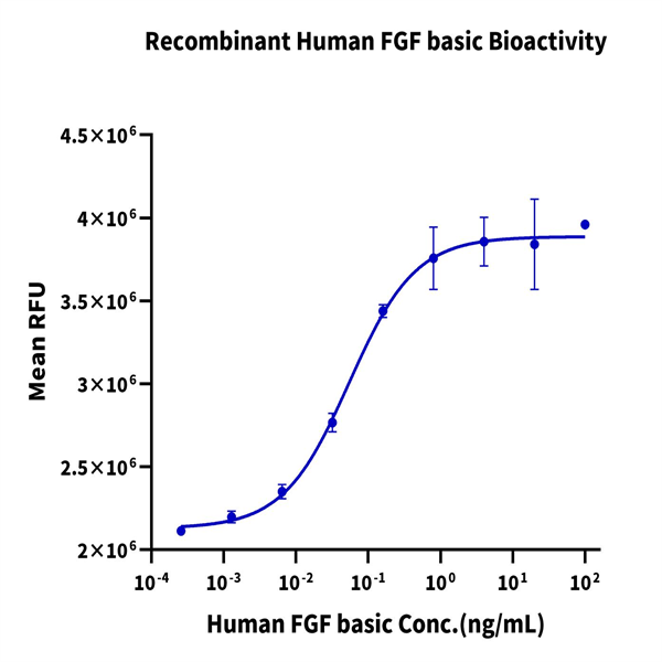 Human FGF basic Protein (FGF-HE001)