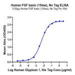 Human FGF basic (154aa) Protein BP003614 Syd Labs