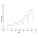Biotinylated Human FGF10 Protein (Primary Amine Labeling) BP005095 Syd Labs