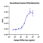 Human FGF8a Protein BP003363 Syd Labs