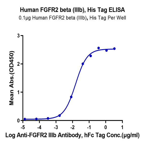 Human FGFR2 beta (IIIb) Protein (FGF-HM12D)