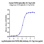 Human FGFR2 alpha (IIIb) Protein BP005707 Syd Labs