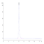 Human FGFR2 alpha (IIIb) Protein (FGF-HM2RA)