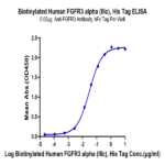 Biotinylated Human FGFR3 alpha (IIIc) Protein BP005648 Syd Labs