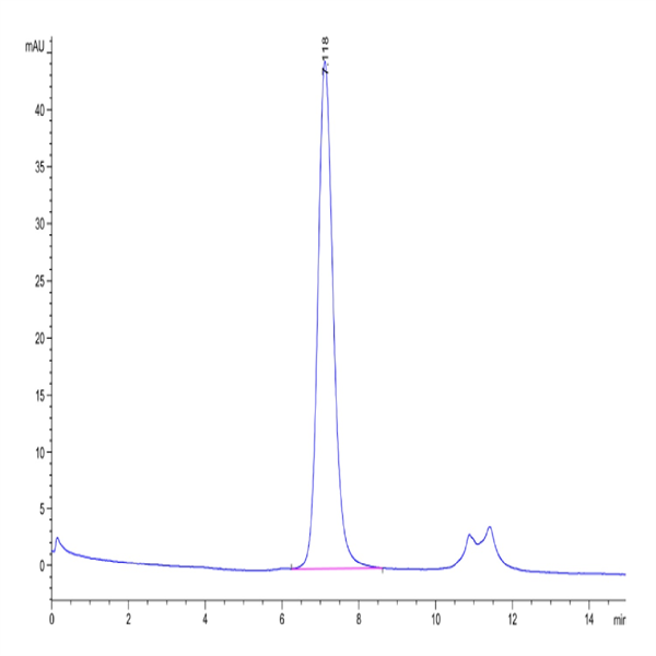 Biotinylated Human FGFR3 beta (IIIb) Protein (FGF-HM4BBB)