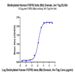 Biotinylated Human FGFR2 beta (IIIb) Domain Protein BP003437 Syd Labs