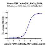 Human FGFR1 alpha (IIIc) Protein BP005520 Syd Labs