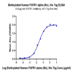 Biotinylated Human FGFR1 alpha (IIIc) Protein BP005692 Syd Labs