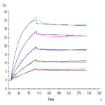 Human FGF21 Protein BP005696 Syd Labs