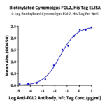 Biotinylated Cynomolgus FGL2 Protein BP003492 Syd Labs