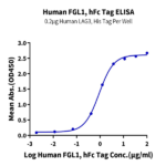 Human FGL1 Protein BP005317 Syd Labs
