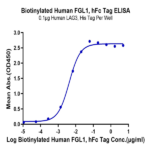 Biotinylated Human FGL1 Protein (Primary Amine Labeling) BP003549 Syd Labs