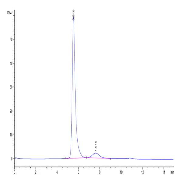 Biotinylated Human FGL1 Protein (Primary Amine Labeling) (FGL-HM211B)