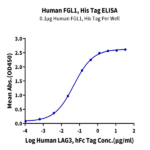 Human FGL1 Protein BP005295 Syd Labs