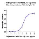 Biotinylated Human FGL1 Protein BP005450 Syd Labs