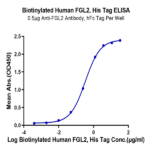 Biotinylated Human FGL2 Protein BP003525 Syd Labs