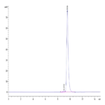 Biotinylated Mouse FGL2 Protein BP003506 Syd Labs