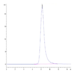 Biotinylated Rat FGL2 Protein BP003489 Syd Labs