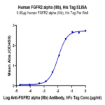 Human FGFR2 alpha (IIIb) Protein BP004904 Syd Labs