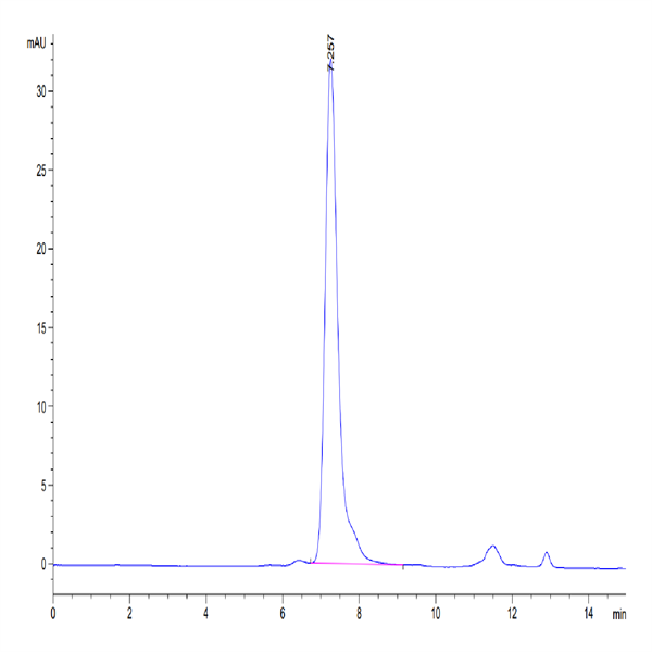 Human FGFR2 beta (IIIb) Protein (FGR-HM2BB)
