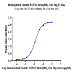 Biotinylated Human FGFR2 beta (IIIb) Protein BP004507 Syd Labs