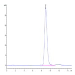Human Fibronectin (32-345) Protein BP003528 Syd Labs