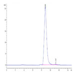 Human Fibronectin (32-602) Protein BP003541 Syd Labs