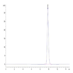 Human Fibronectin (1266-1356) Protein BP003277 Syd Labs