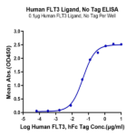 Human FLT3 Ligand Protein BP003574 Syd Labs