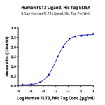Human FLT3 Ligand Protein BP004350 Syd Labs