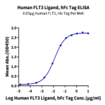 Human FLT3 Ligand Protein BP005425 Syd Labs