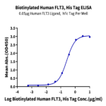 Biotinylated Human FLT3/Flk-2 Protein BP003358 Syd Labs