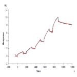 Mouse FLT3/Flk-2 Protein BP003762 Syd Labs