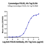 Cynomolgus FOLR2 Protein BP004533 Syd Labs