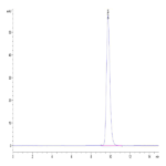 Human FOLR3 Protein BP003398 Syd Labs