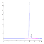 Human FOLR4/Juno Protein BP004323 Syd Labs