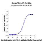 Human FOLR1 Protein BP005026 Syd Labs