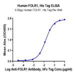Human FOLR1 Protein BP005388 Syd Labs