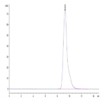 Mouse FOLR1 Protein BP003921 Syd Labs