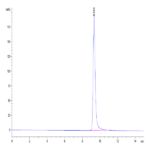 Mouse FOLR2 Protein BP004464 Syd Labs