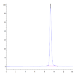 Mouse FOLR4/Juno Protein BP004449 Syd Labs
