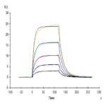 Mouse Fc gamma RI/CD64 Protein BP004331 Syd Labs