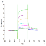 Biotinylated Cynomolgus/Rhesus macaque FcRn Protein BP005723 Syd Labs