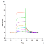 Human FcRn Protein BP004299 Syd Labs