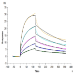 Human GITR Ligand/TNFSF18 Trimer Protein BP005024 Syd Labs